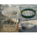 Cattle Feeder Galvanized or Powder Coated on Sale